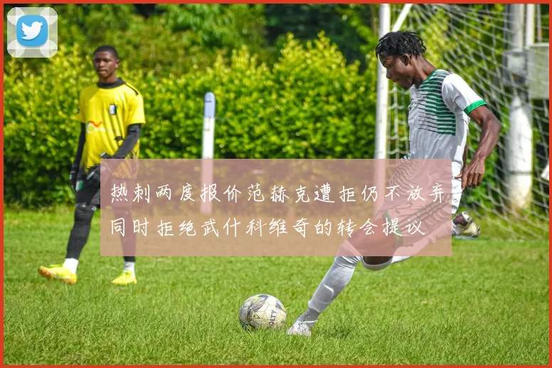 热刺两度报价范赫克遭拒仍不放弃同时拒绝武什科维奇的转会提议